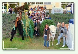Heilertage 2010